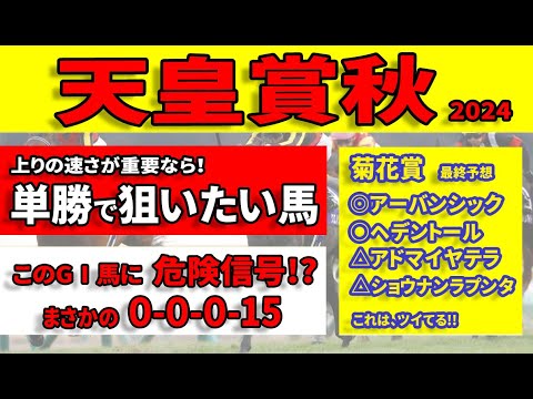 【天皇賞秋2024予想】９頭が圏外に飛んだ消去データもクリアした単勝で狙いたい馬！