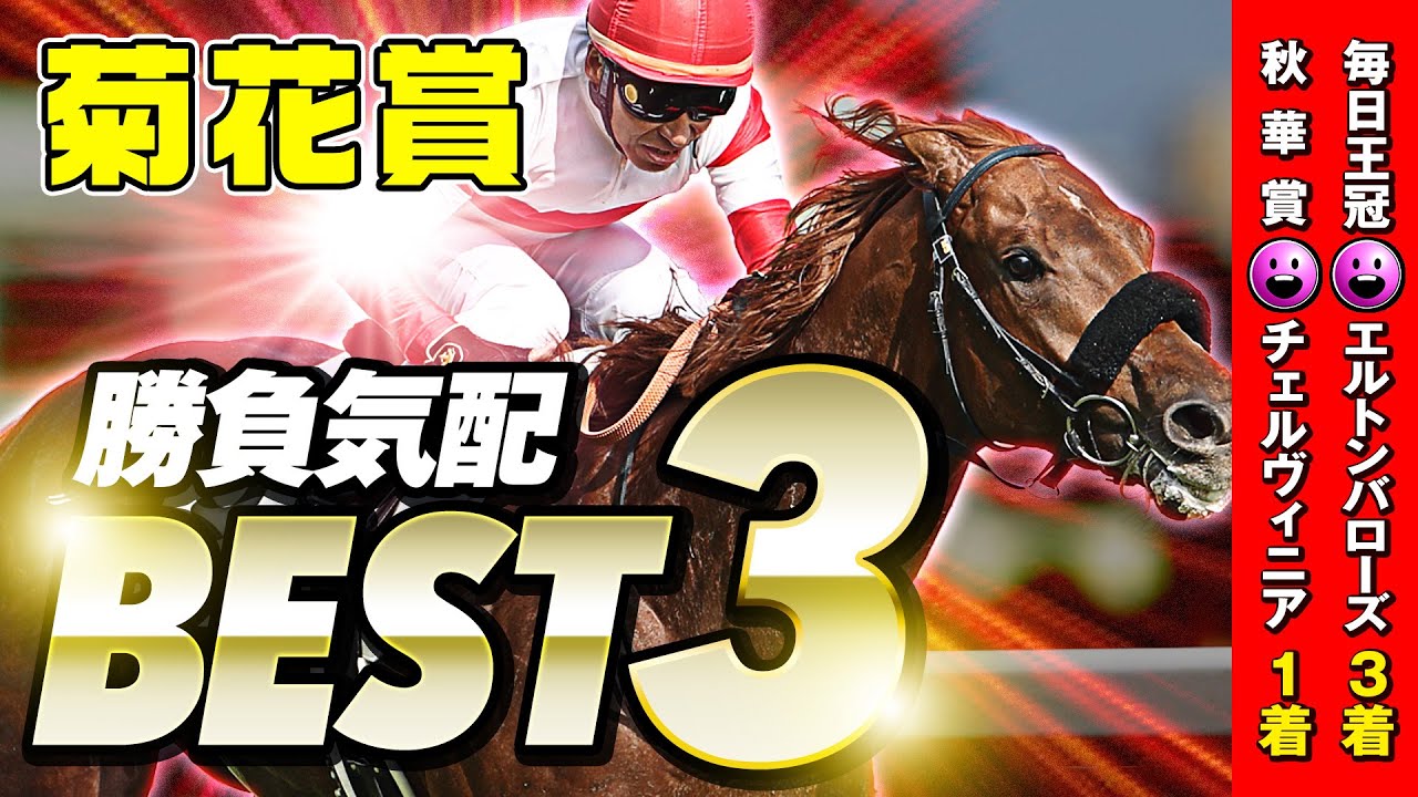 【菊花賞】先週も推奨馬が快勝！3000mでも期待十分「陣営の勝負気配」BEST3【競馬】