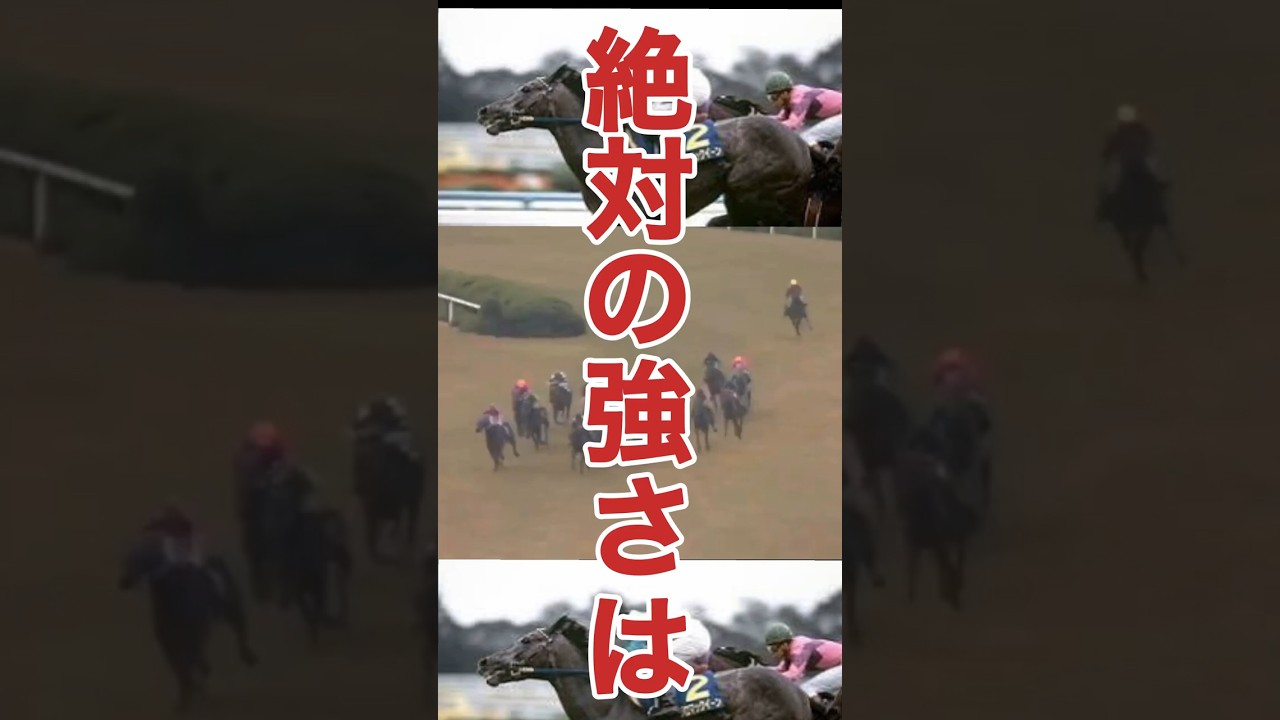 🫏メジロ牧場最強のステイヤー🫏　　🐎メジロマックィーン🐎 #思い出の名馬たち #競馬 #菊花賞 #horse #メジロマックイーン