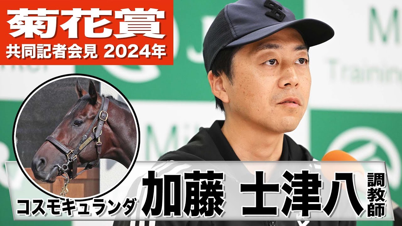 【菊花賞2024】コスモキュランダ・加藤士津八調教師「この舞台はすごく合っている」「前走時より調子が上がってきている」《JRA共同会見》