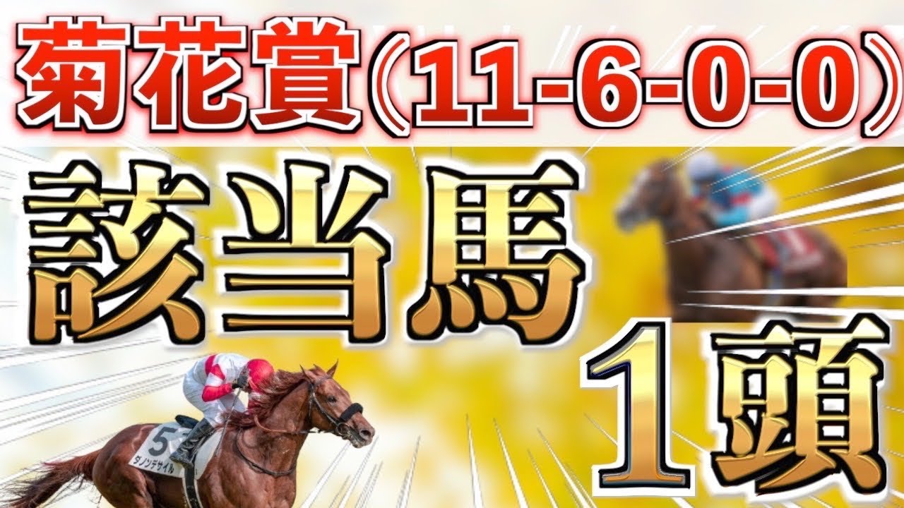 【菊花賞2024】7年連続的中へ！全条件パーフェクト◉想定6番人気を狙い撃つ！【競馬予想】