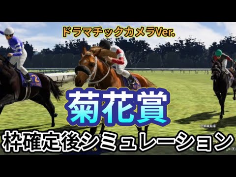 【菊花賞2024】【Dカメラ】ウイポ枠確定後シミュレーション ダノンデサイル アーバンシック コスモキュランダ メイショウタバル へデントール メリオーレム #3010