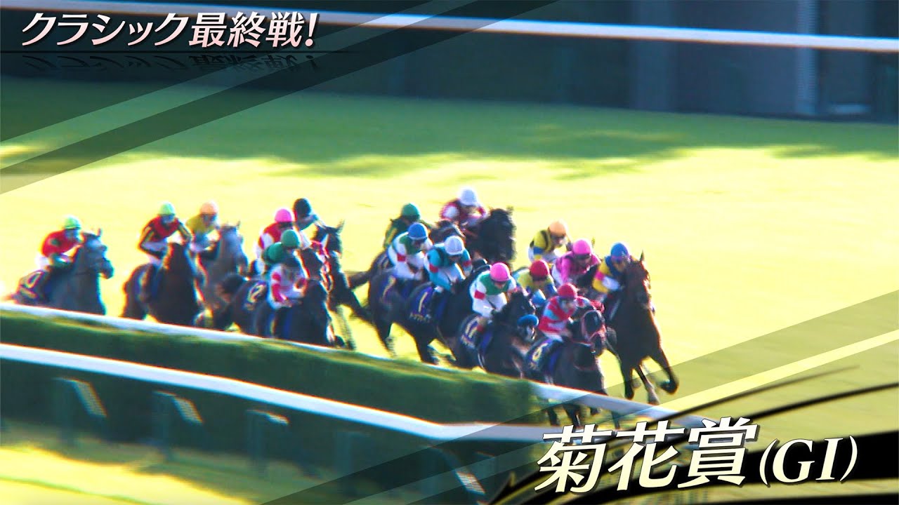 【菊花賞】クラシック最終戦！メイショウタバル＆アミーゴ浜中騎手がビッグタイトルを狙う！