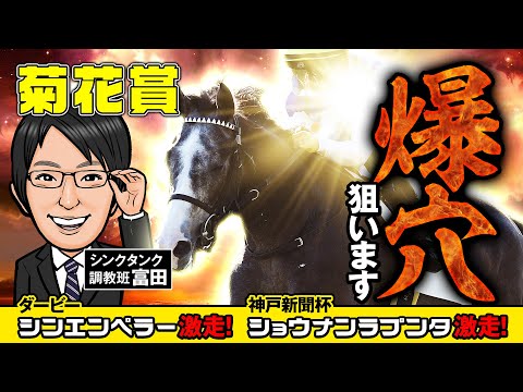 【菊花賞 2024 予想】長距離戦は調教で分かる！2ケタ人気も激走している爆穴パターンに該当したのは！？