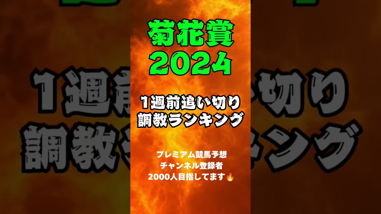 【菊花賞2024】🌈魂の1週前調教ランキング🌈