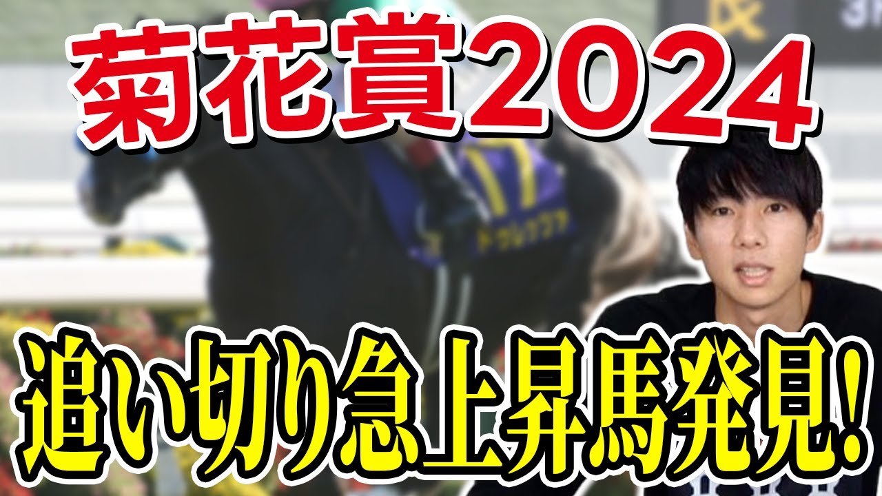 【菊花賞2024 予想】伏兵的存在から主役へ！ひと叩きし追い切り急上昇してきた穴馬から勝負！！