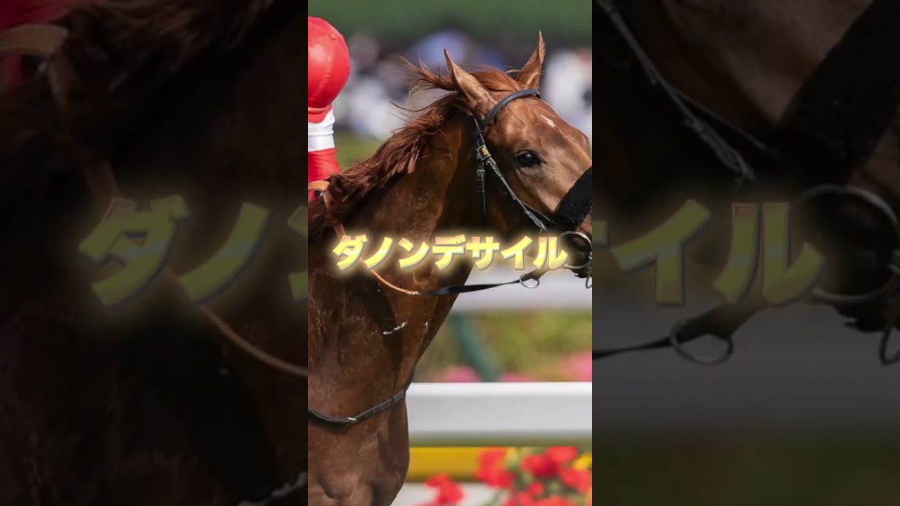 G1菊花賞の注目馬３頭を紹介＃競馬＃競馬予想＃京都競馬場＃３冠