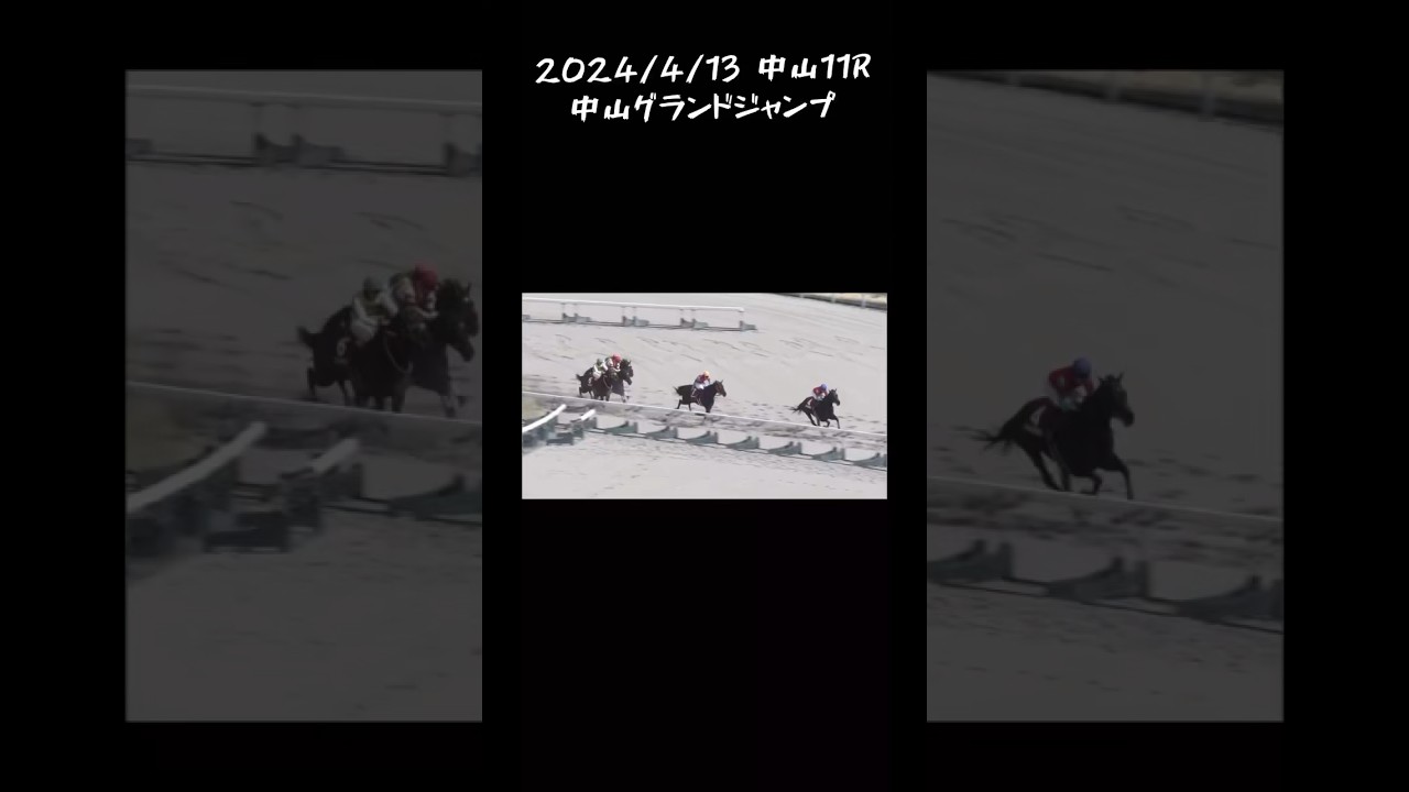 中山グランドジャンプ　もちおの当たらない予想 #競馬予想 #競馬 #中山グランドジャンプ