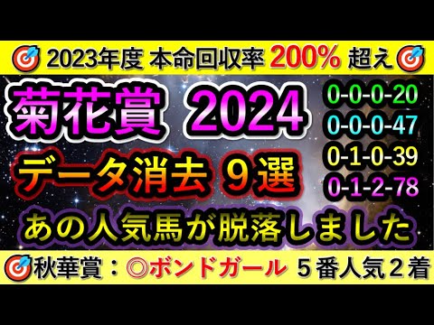 菊花賞2024 【消去データ9選】 あの人気馬が脱落しました