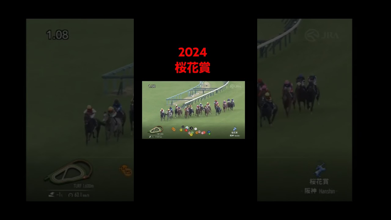 2024　桜花賞　#競馬#桜花賞shorts#ステレンボッシュ