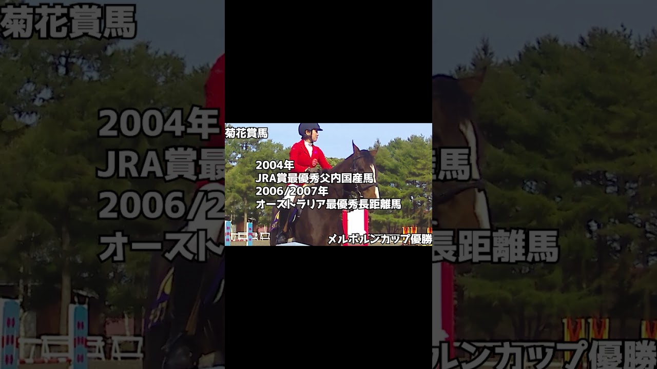 【追悼デルタブルース】菊花賞とメルボルンカップを勝ったデルたん　#ショート #デルタブルース