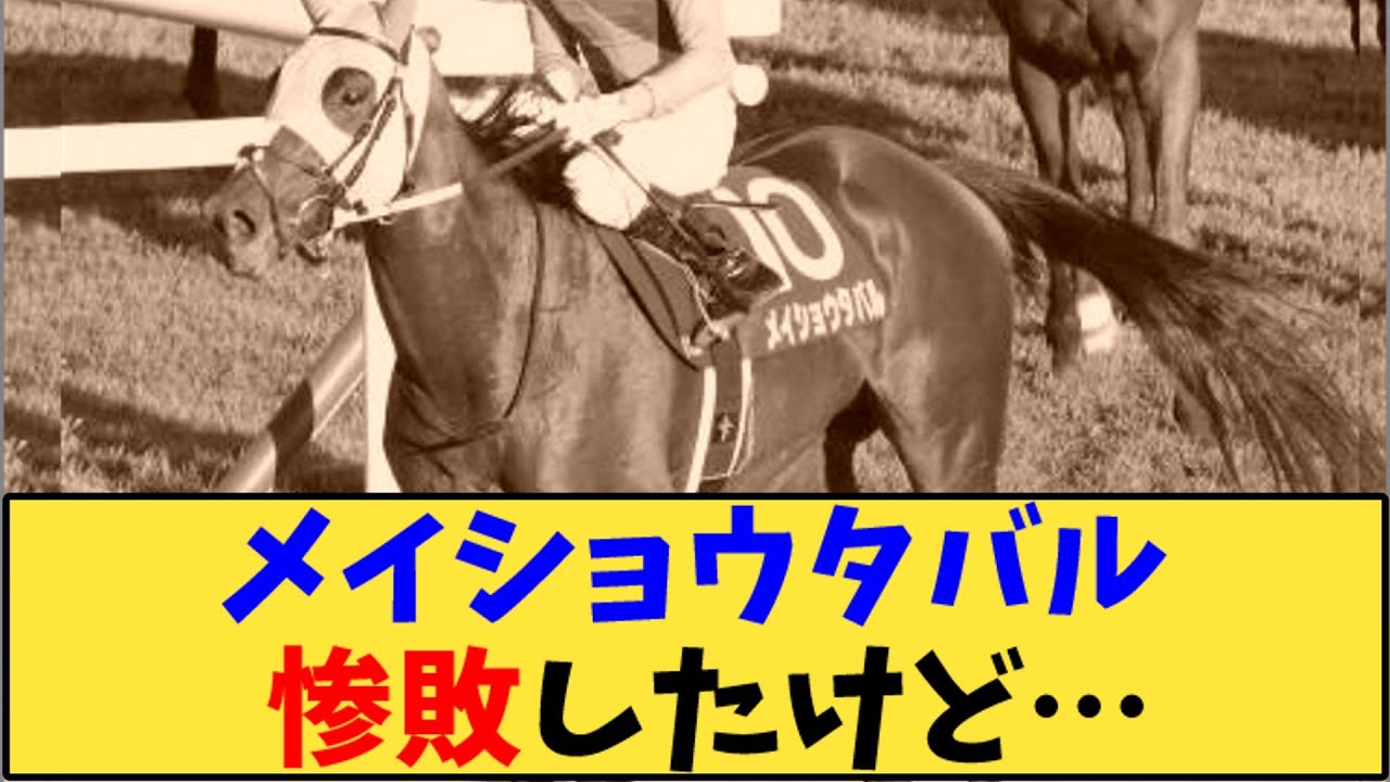 【競馬】「【菊花賞】メイショウタバル 惨敗したけど…」に対する反応【反応集】