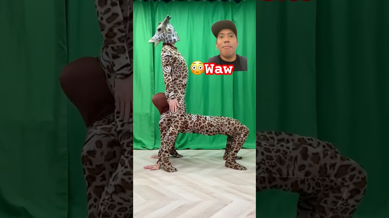 #funny #schumacher #dance #ジャパンカップ2022 #animals #comedy #ダンス #シューマッハ