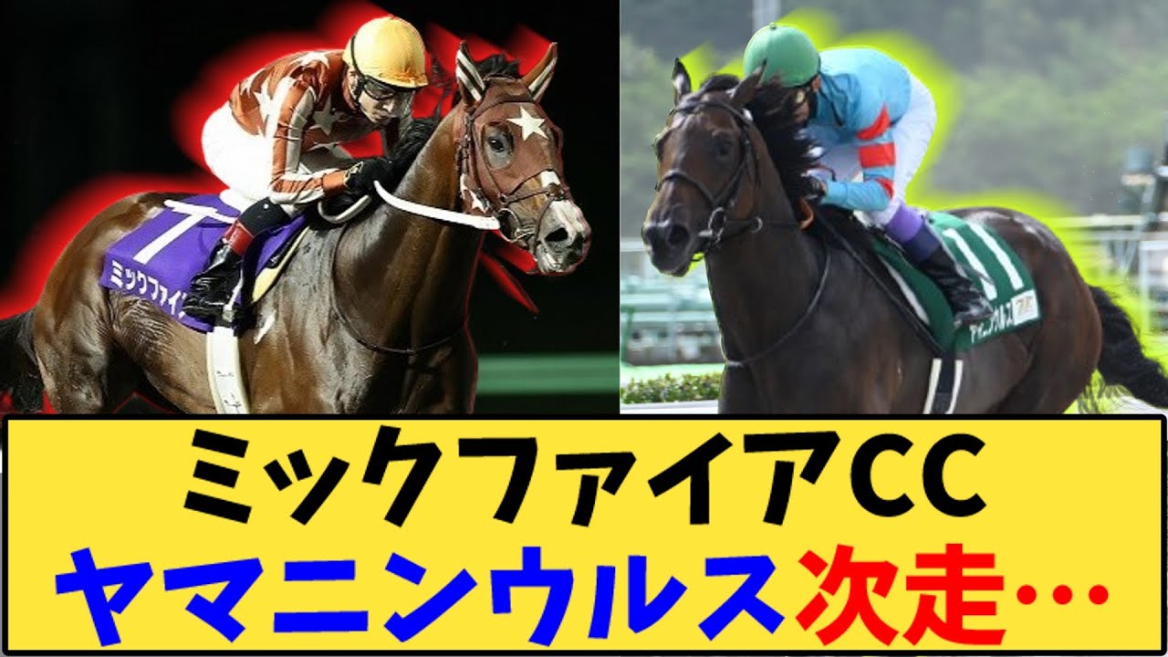 【競馬】「ミックファイア チャンピオンズカップへ ヤマニンウルス次走…」に対する反応【反応集】