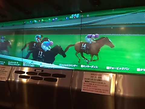 3トシザブイー 大阪杯