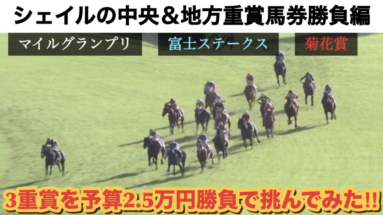 【馬券勝負編】週末の中央＆地方重賞（菊花賞･富士S･マイルグランプリ）挑んでみた！