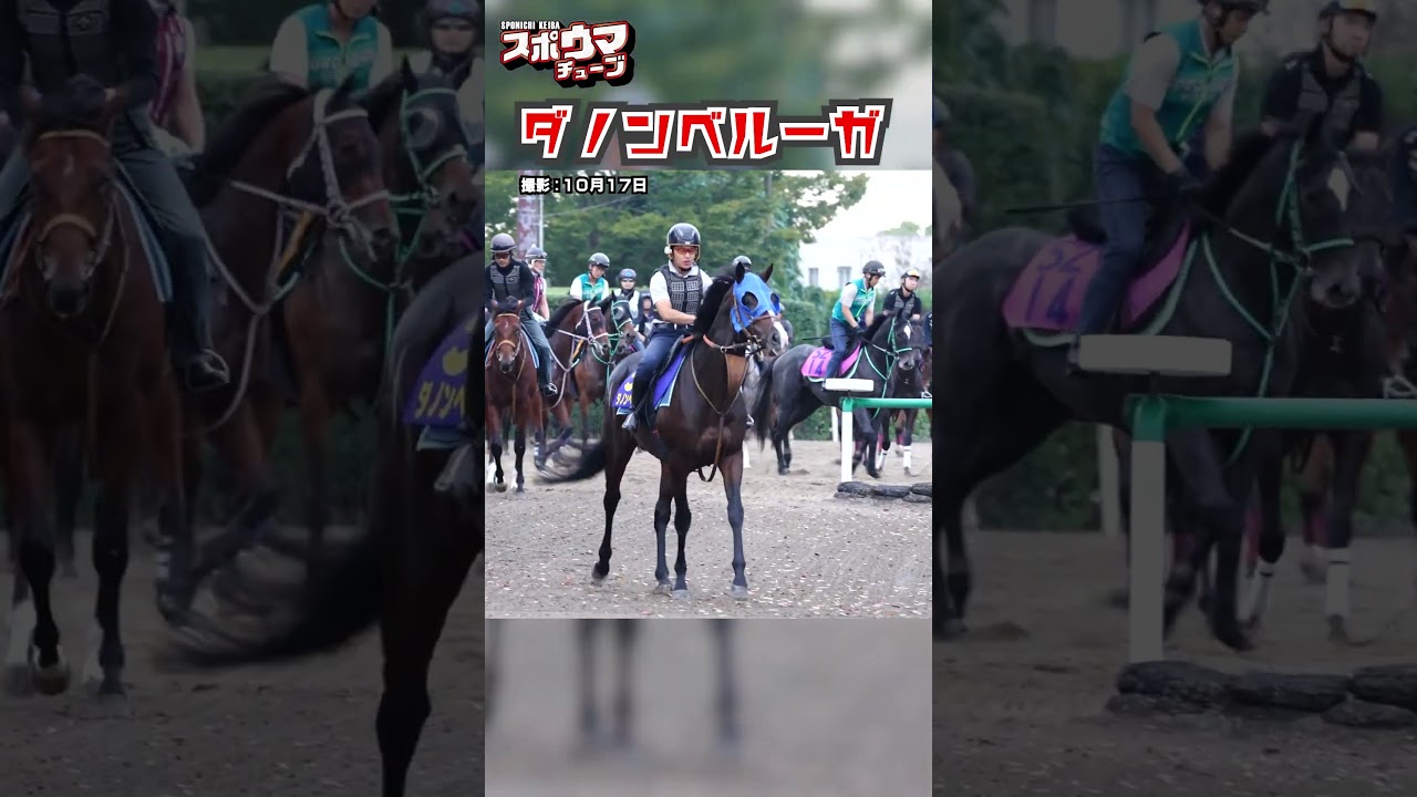 【天皇賞(秋)・出走予定】ダノンベルーガ 美浦での様子 #shorts