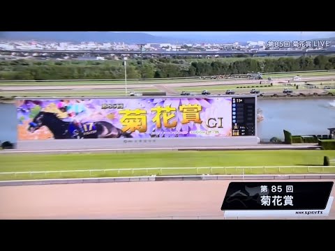 競馬🏇GIレース　第85回 菊花賞
