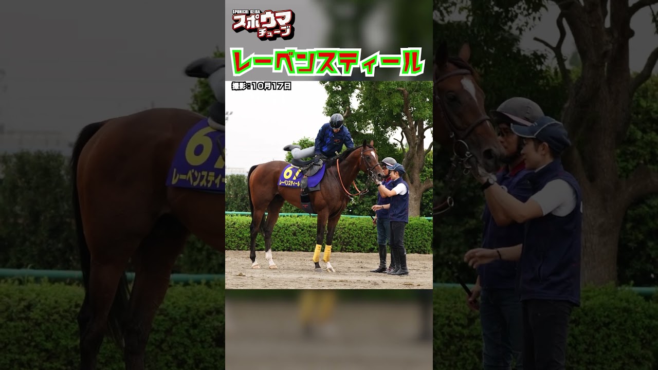 【天皇賞(秋)・出走予定】レーベンスティール 美浦での様子 #shorts