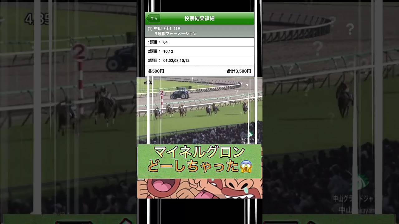 【競馬】4/13中山グランドジャンプをウマウマ配当目指して馬券買ってみた🐴