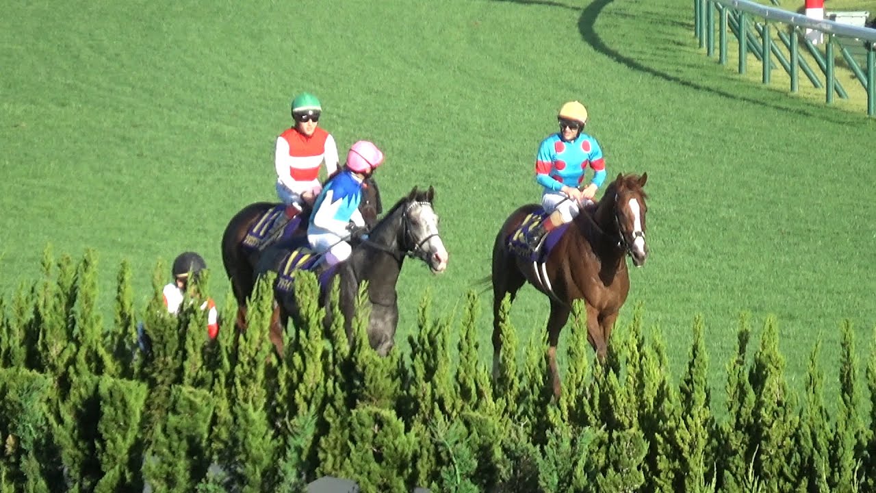【ルメ豊】勝利ジョッキールメール騎手を祝福するレジェンド武豊騎手 最高のレースをした2人に拍手【菊花賞2024】【現地映像】
