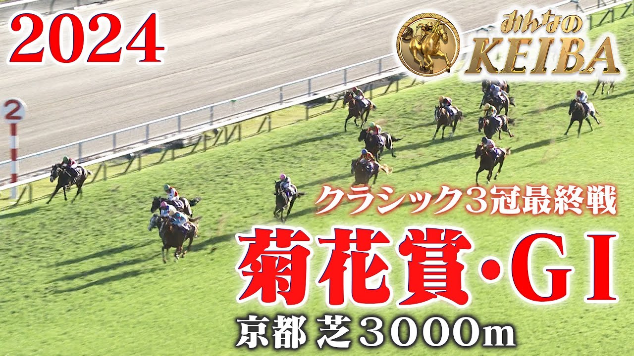 【菊花賞・GⅠ】菊花賞 京都 芝 3000m 2024 レース  【みんなのKEIBA】