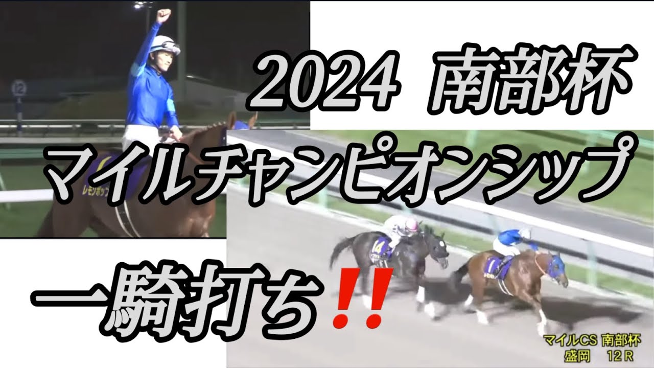 2024マイルチャンピオンシップ南部杯 JPN1