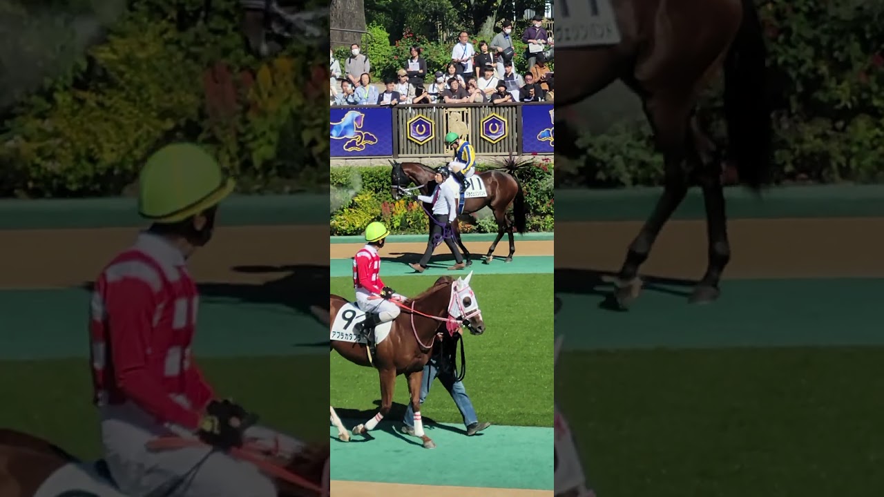 【働き者】秋華賞を制した翌日 東京1R～3Rに連続騎乗したルメール騎手