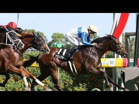 重賞初制覇狙うクランフォードは３連勝中、前走レコード勝ちの能力通用／スワンＳ[Japanese sports]