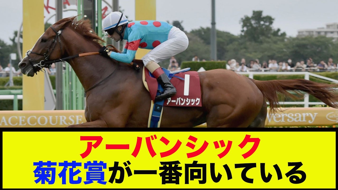 【菊花賞2024】「２歳時から菊花賞が一番向いていると思った」に対する反応【競馬】【反応集】#競馬 #競馬予想 #菊花賞2024 #菊花賞