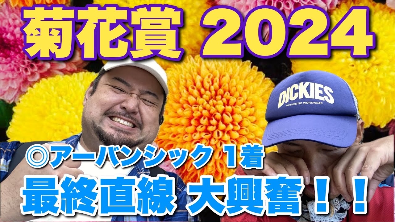 【菊花賞 2024観戦！】目指せ！GⅠ連続的中！【現地の様子もチラ見せ】 #競馬 #菊花賞 #あぶら競馬