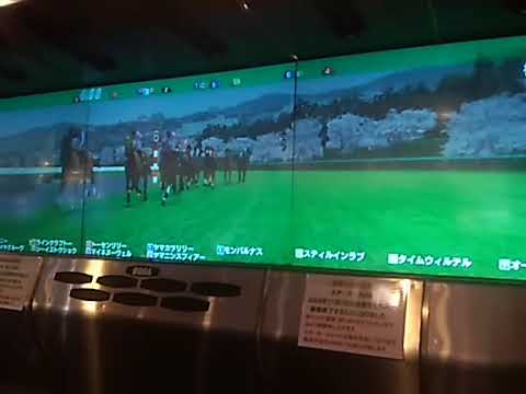 3ラインクラフトー 桜花賞