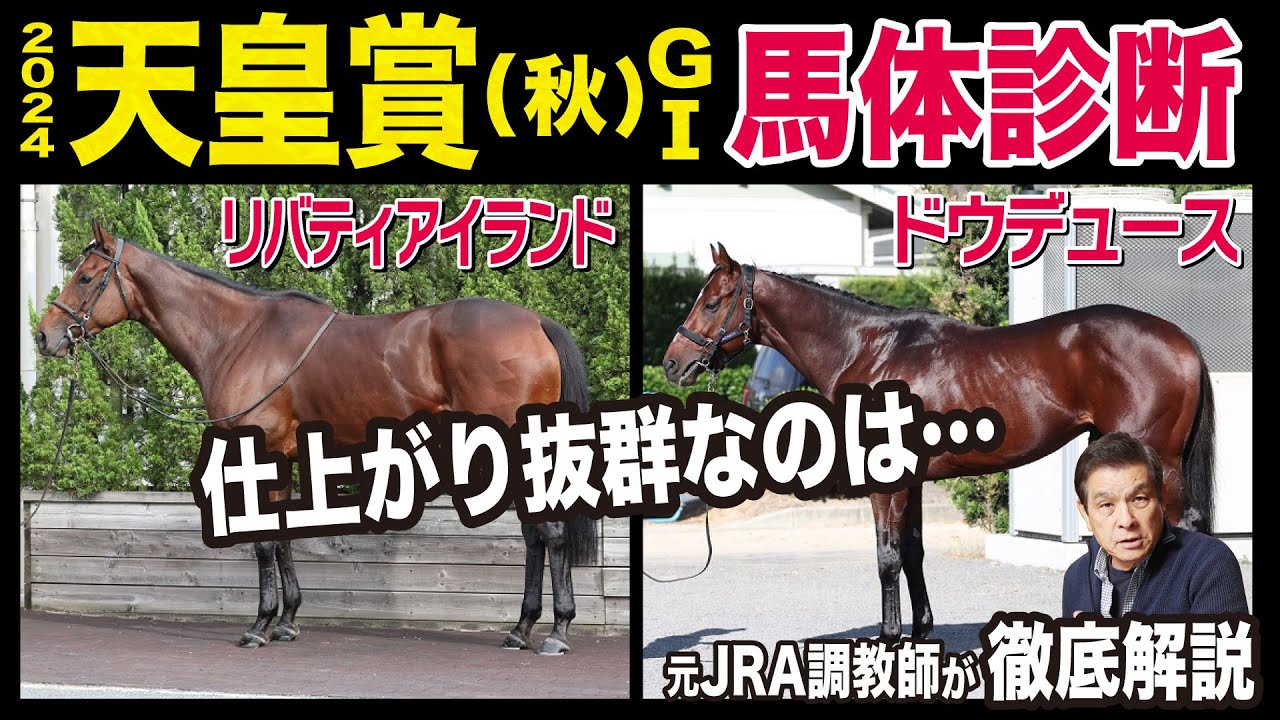 【天皇賞・秋2024】中村均元調教師が馬体診断ベスト５を発表！仕上がり抜群の馬は？《東スポ競馬ニュース》