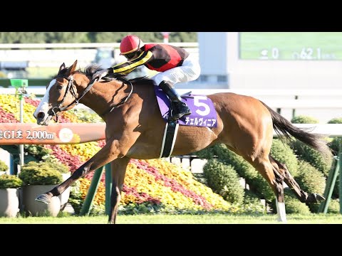 【GI】第29回秋華賞実況[優勝馬　チェルヴィニア　C.ルメール騎手]