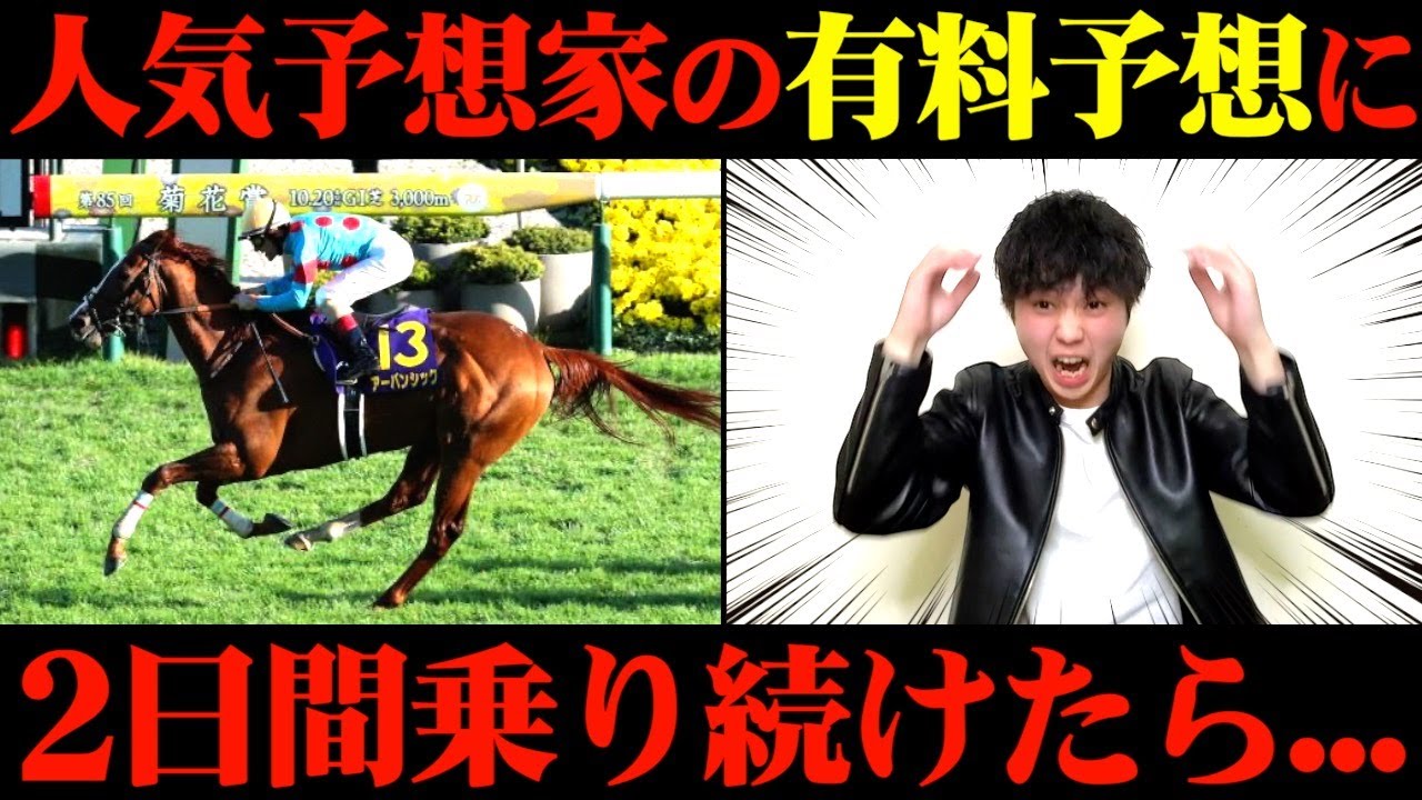 【競馬検証】史上最◯？Xで人気の予想家の有料予想に2日間乗ってみた結果...【菊花賞2024】