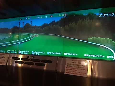 9ラインクラフトー エリザベス女王杯引退