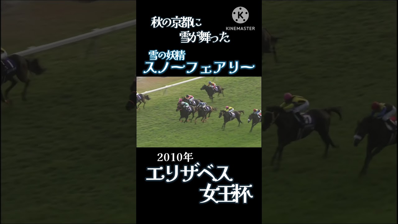 2010年 エリザベス女王杯 スノーフェアリー