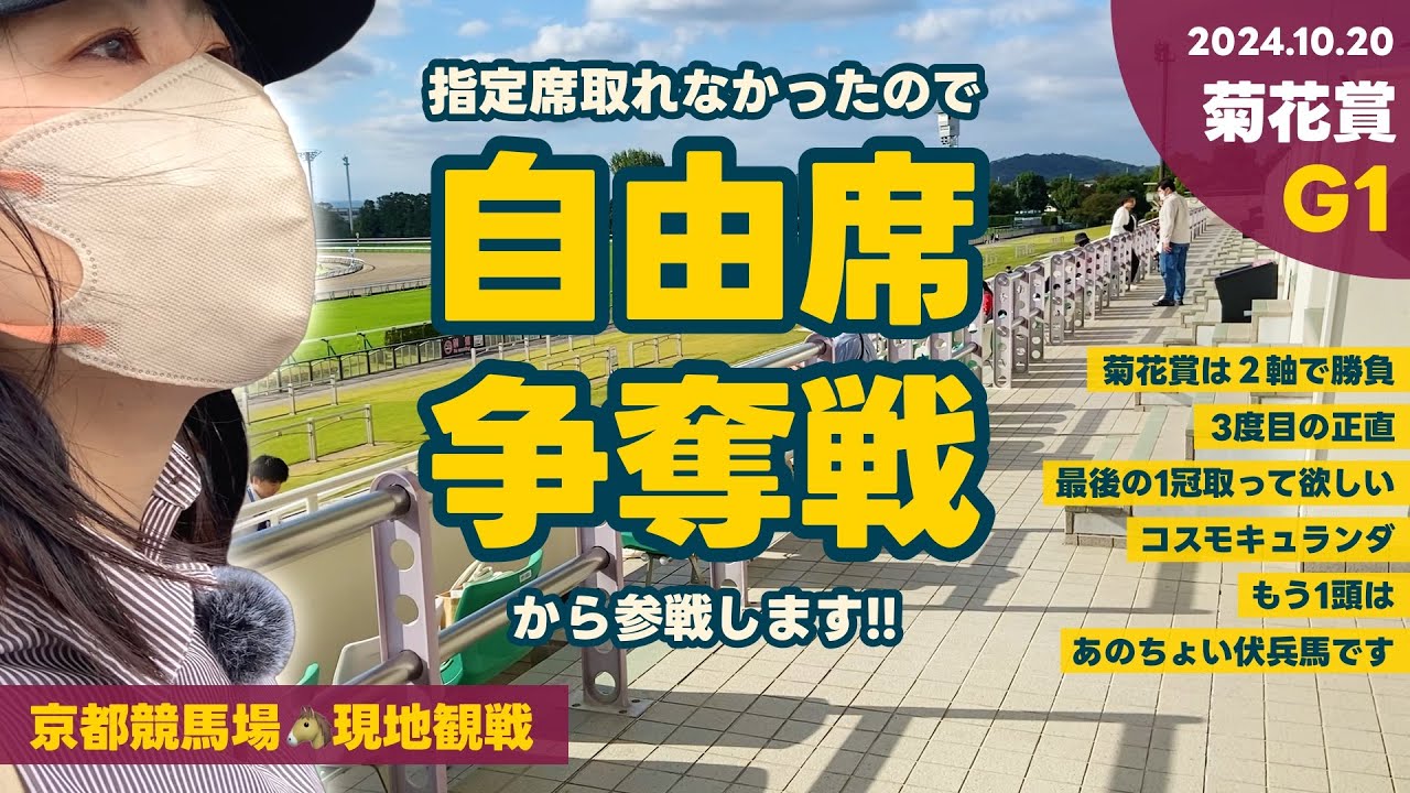 【菊花賞】京都競馬場現地観戦！！推し馬コスモキュランダよ！3度目の正直、最後の一冠取ってくれ！！