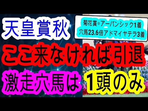 【競馬予想】天皇賞秋2024　今回がラストチャンス！　競争馬人生を賭けた魂の走りをします！！　穴馬見解