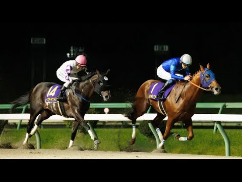 【JpnI】第37回Road to JBC農林水産大臣賞典マイルCS南部杯実況[優勝馬　レモンポップ　坂井瑠星騎手]