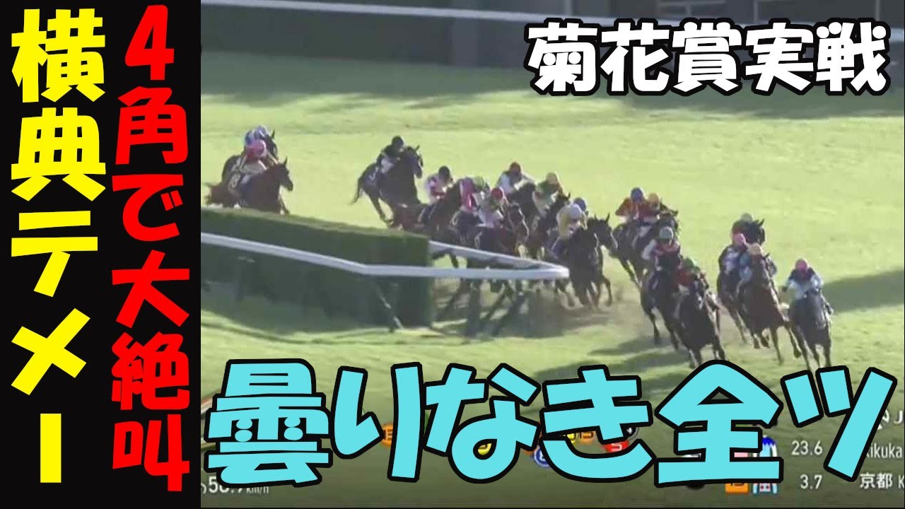 【菊花賞2024実戦】4角で大絶叫！横典テメ―！来なくていい時に来て、来て欲しい時に来ない！真木よう子ばりに泣きが入った馬券センス０男の悲痛な嘆き！ダノンデサイルと心中した君へ捧げる動画です