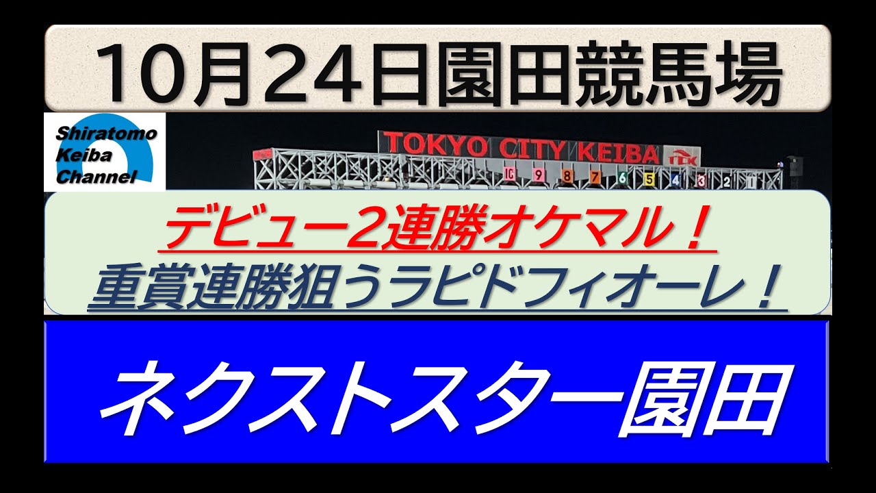 【競馬予想】ネクストスター園田！～２０２４年１０月２４日 園田競馬場 ：１０－５２