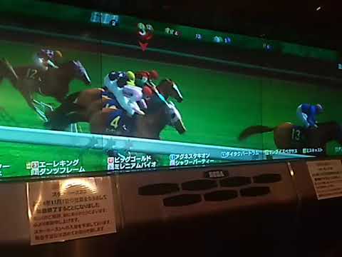 2スパークホークー 皐月賞