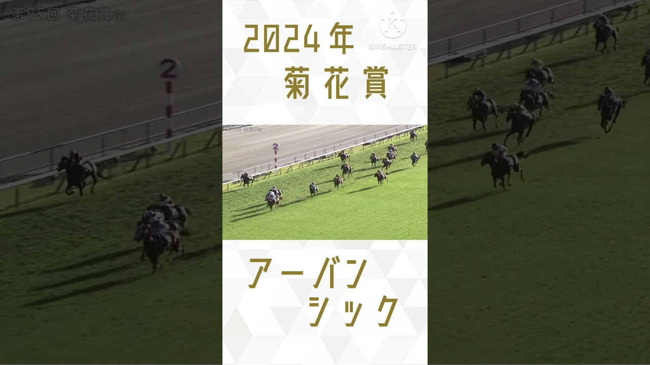 2024年 菊花賞 アーバンシック