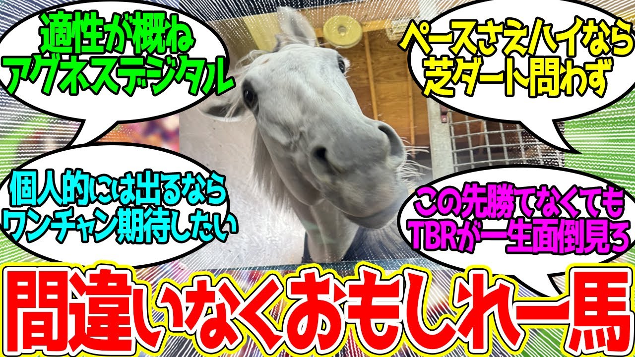 シェケナ ← 長岡とのコンビ継続でチャンピオンズCへに対するみんなの反応！【競馬 の反応集】