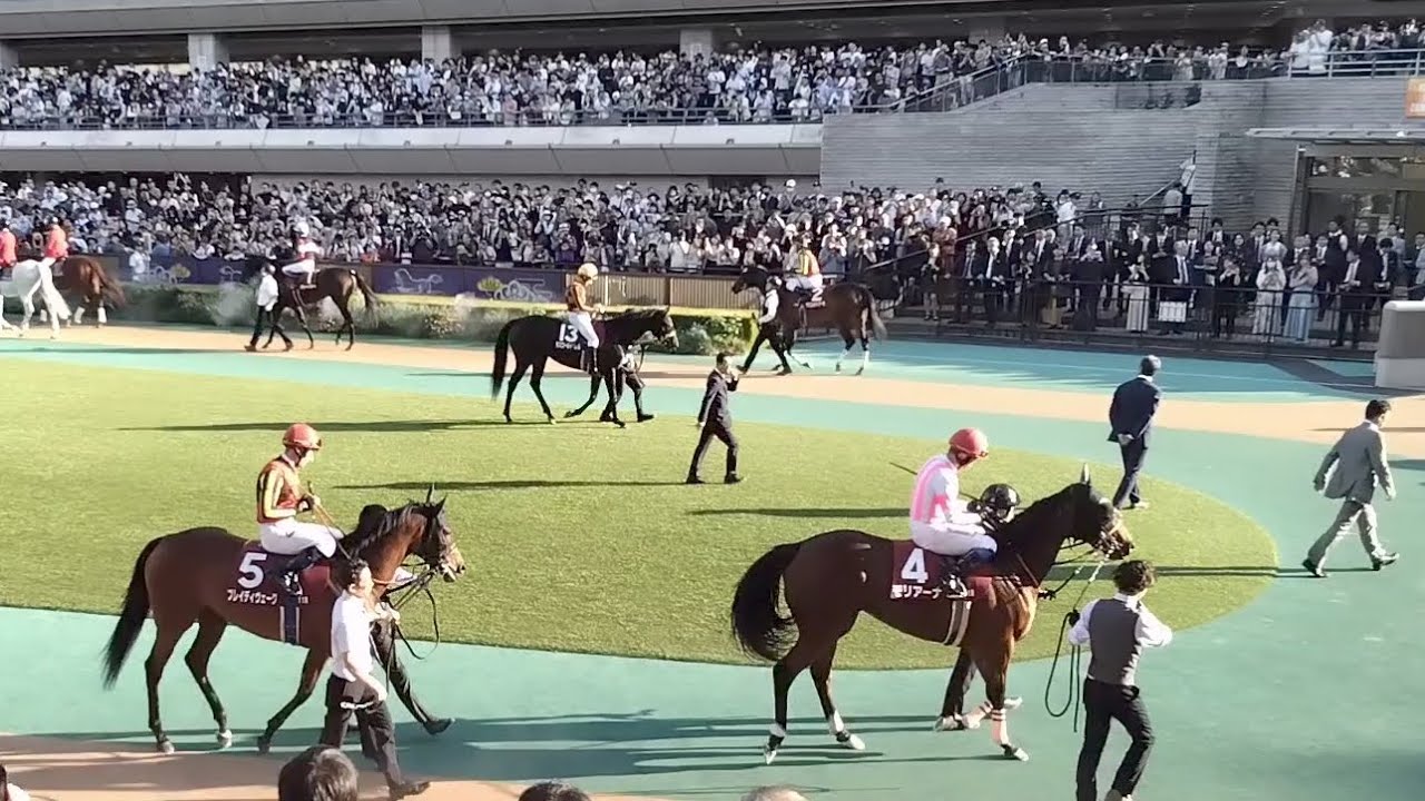 【府中牝馬S(G2)】2024現地パドック💓『エリザベス女王杯(G1)休み明け57㎏⑤ブレイディヴェーグ圧勝劇』武豊騎手①ハーパー20㎏増👍