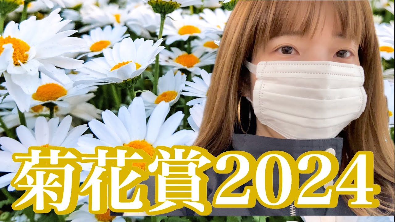 菊花賞2024！の一週間