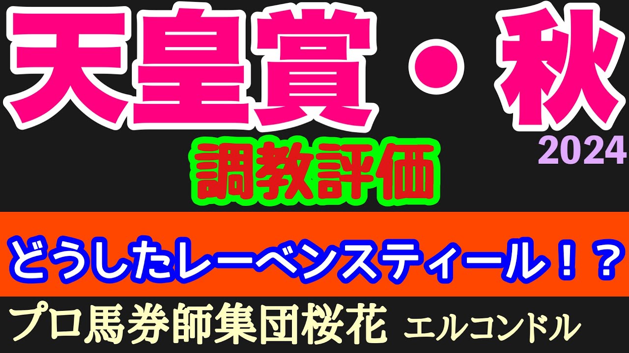 エルコンドル氏の天皇賞秋2024調教評価！！さぁ大一番に向けての各馬の出来やいかに！人気馬の中にやや不安な馬がいる！？