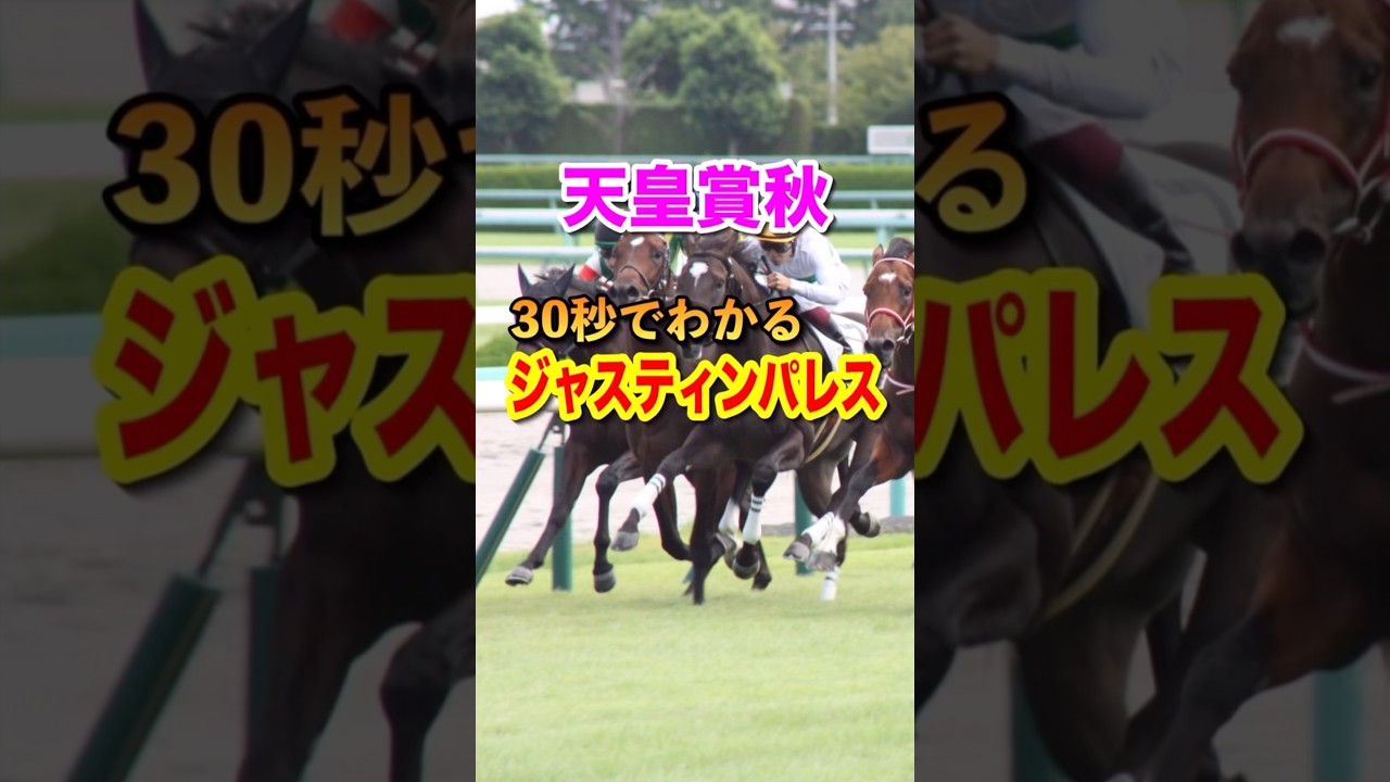 【天皇賞秋2024】30秒でわかるジャスティンパレス