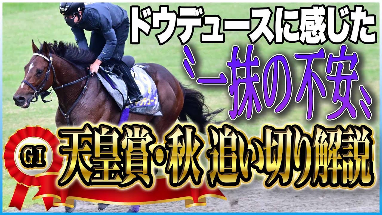 【天皇賞・秋2024】出走馬の追い切りを東西記者が徹底解説！